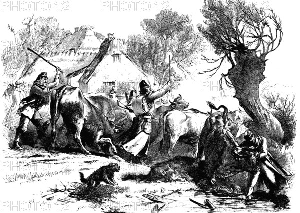 Meat delivery for the Austrian Army Corps in Jutland, woodcut from 1864