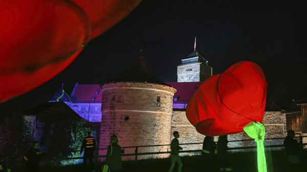 Red roses (pink) and people in front of an illuminated castle at night, Kronach shines, Franconian Forest nature park Park