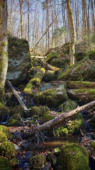 A small stream flows through a mossy, rocky forest, Fichtelgebirge