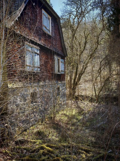 Abandoned old house in the forest, surrounded by trees and scrub, Frankenwald nature park Park