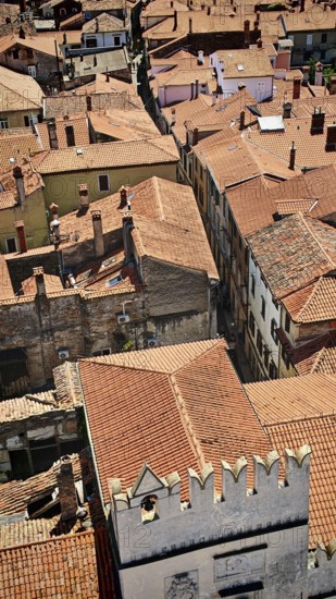 Densely arranged old buildings with red roofs in an old town, Koper, Slovenia