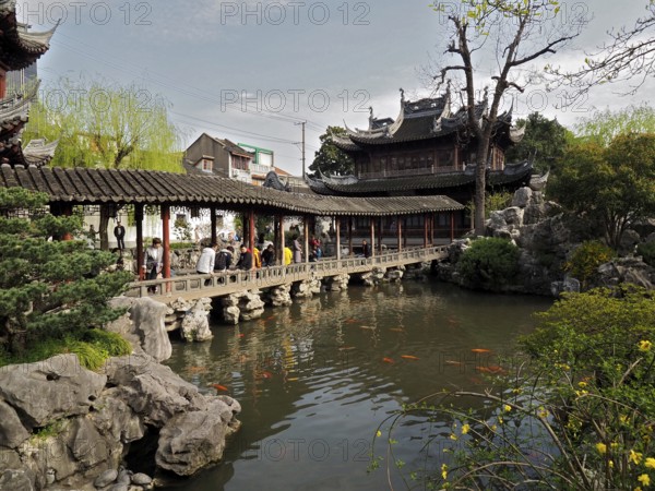 Traditional bridge over a pond with carp and historic buildings, Yuyuan Garden, Shanghai, China