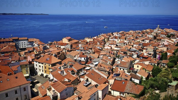 Panoramic picture of a coastal town with red roofs and a blue sea in summer, Piran, Slovenia