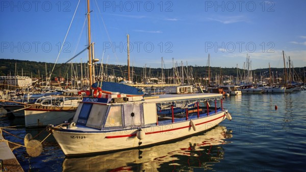 A small motor boat in the marina with numerous sailboats in the background, Izola, Slovenia