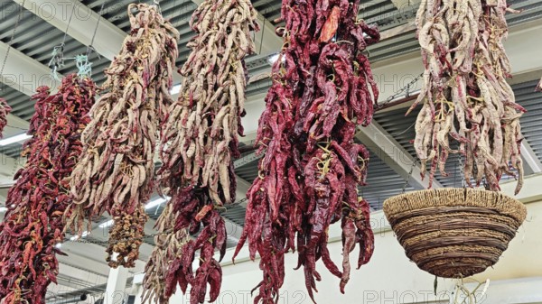 Dried chilli peppers (capsicum annuum) hanging next to a woven basket, Skopje, North Macedonia