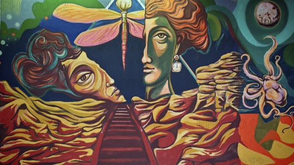 Surrealist work of art with abstract faces and an insect in intense colors, Skopje, North Macedonia