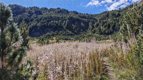 A trail snakes through a meadow in a picturesque mountain landscape under blue skies, Montenegro