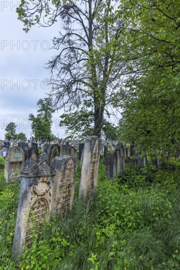 Jewish cemetery, since 1866, Czernowicz, Bukovina, Ukraine