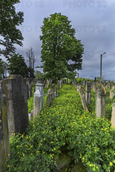 Historic Jewish Cemetery, since 1866, Czernowicz, Bukovina, Ukraine
