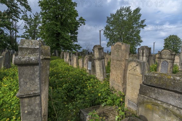 Historic Jewish Cemetery, since 1866, Czernowicz, Bukovina, Ukraine