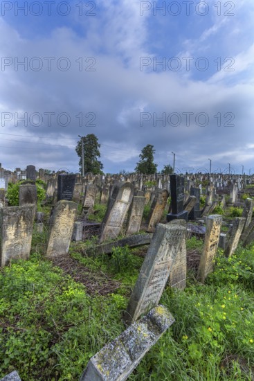Old tombstones with colorful symbols at the Jewish Cemetery, Czernowicz, Bukovina, Ukraine