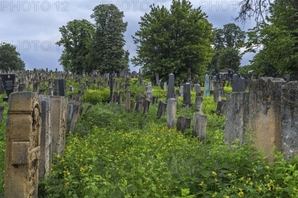 Jewish cemetery, since 1866, Czernowicz, Bukovina, Ukraine
