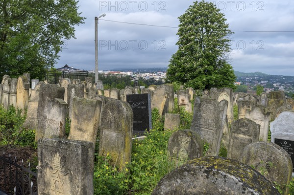 Tombstones with various Jewish symbols, Jewish cemetery, in the back the town of Czernowicz, Bukovina, Ukraine