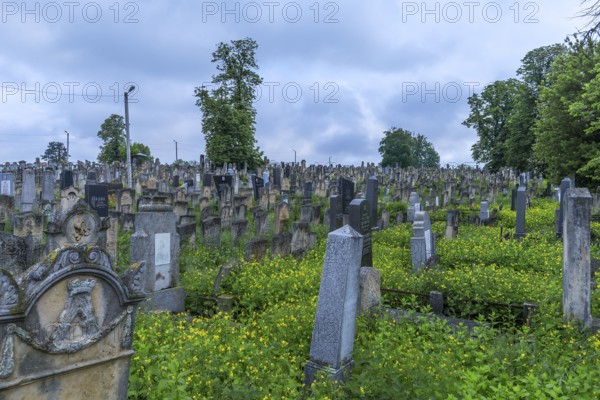 Jewish cemetery, Czernowicz, Bukovina, Ukraine