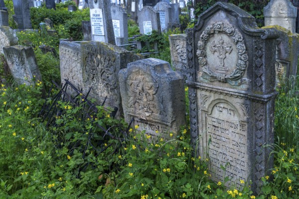 Tombstones with various Jewish symbols, Jewish cemetery, Czernowicz, Bukovina, Ukraine