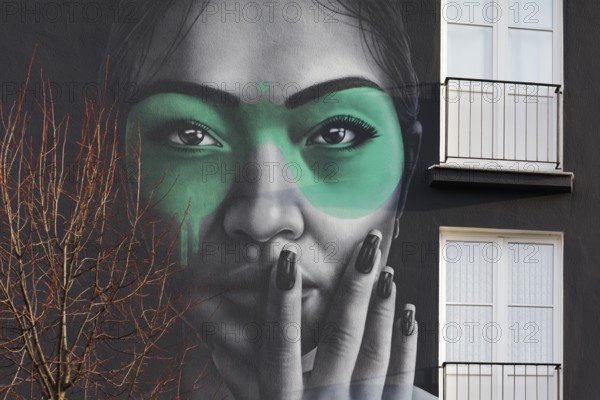 Portrait of a Eurasian woman, Rasimin, mural by street artist Fin DAC, Düsseldorf, North Rhine-Westphalia, Germany