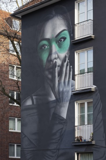 Portrait of a Eurasian woman, Rasimin, mural by street artist Fin DAC, Düsseldorf, North Rhine-Westphalia, Germany