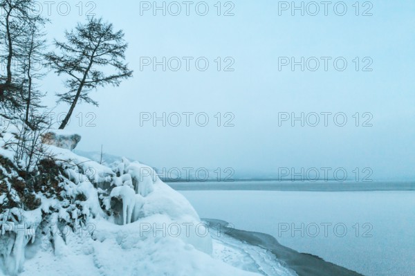 Lake Baikal, Siberia, Russia. Trees on snow covered frozen ground around frozen Lake Baikal in Winter