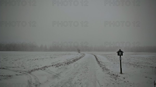 Snowy dirt road in fog with a bare tree and a Rennsteig signpost, Rennsteig, Thuringian Forest nature park Park