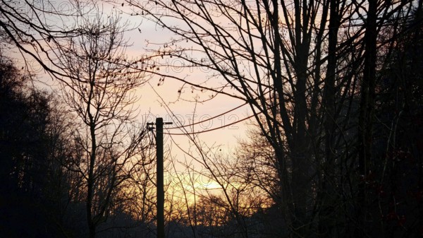 Sunset through tree and power line silhouettes illuminating the sky, Frankenwald nature park Park