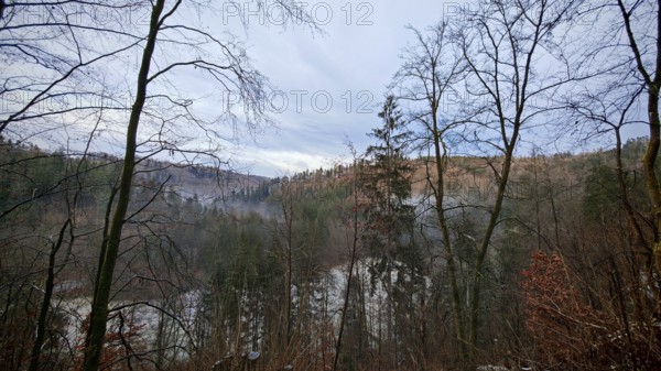 A hilly forest landscape with bare trees and fog under a cloudy sky, Frankenwald nature park Park