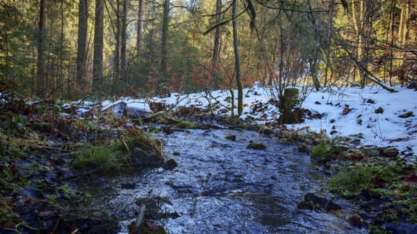 Small stream flows through snow-covered forest, surrounded by trees and autumn leaves. Peaceful, natural atmosphere, Franconian Forest nature park Park