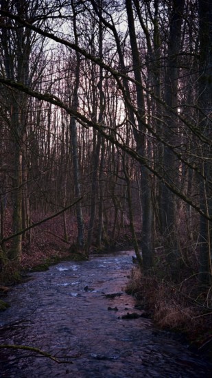 A stream flows through a wintry forest at dusk, surrounded by bare trees, Frankenwald nature park Park
