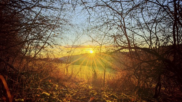 The glowing sunset over a field surrounded by bare trees