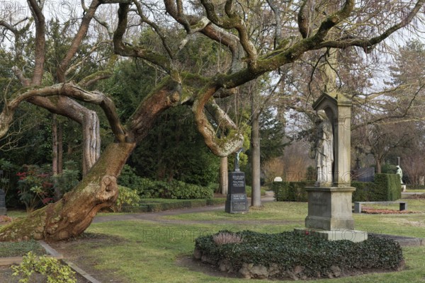 Tomb of composer Norbert Burgmüller, Nordfriedhof Düsseldorf, North Rhine-Westphalia, Germany