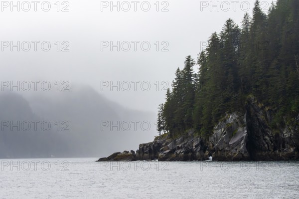 Rocky coast with coniferous forest, coastal landscape, mystical cloud-covered mountains, Kenai Fjords National Park, Kenai Peninsula, Alaska, USA