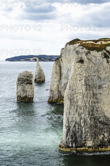 White Cliffs of Old Harry Rocks Jurassic Coast, Handfast Point, Dorset, UK