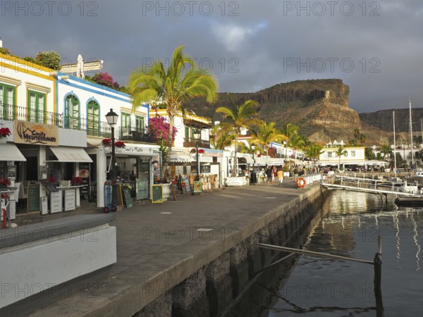 Picturesque harbor promenade with colorful buildings and palm trees, Puerto de Mogan, Gran Canaria, Canary Islands, Spain