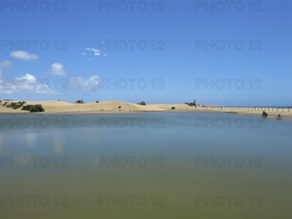 Tranquil lagoon lake with sand dunes under blue sky, El Oasis de Maspalomas, Gran Canaria, Canary Islands, Spain