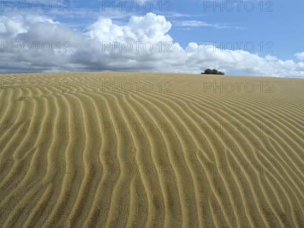 Sand dunes with wave-like textures under a cloudy sky, Maspalomas dunes, Gran Canaria, Canary Islands, Canary Islands, Spain