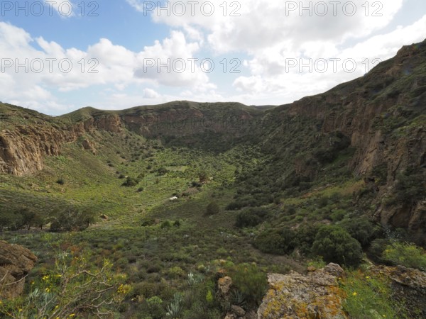 Extensive valley with rocky hill walls and green vegetation in sunlight, Caldera de Bandama volcanic crater, Gran Canaria, Canary Islands, Canary Islands, Spain
