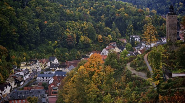 Idyllic village in an autumn landscape on a hill with a tower with mixed vegetation, Franconian Forest nature park Park