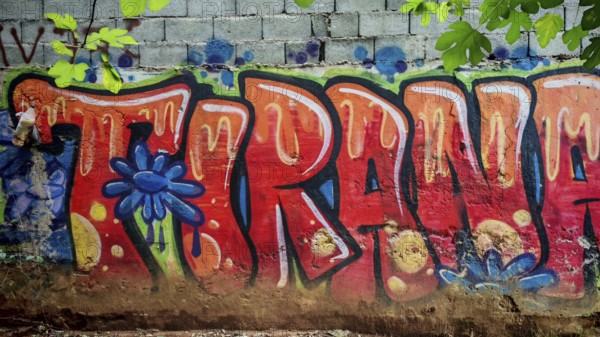 Graffiti with eye-catching colorful letters on a wall in an urban environment, city name Tirana, Tirana, Albania