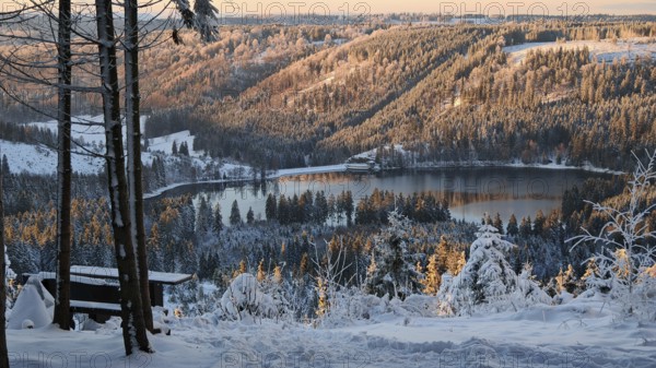 View of a snowy forest with a lake dam Scheibe Alsbach and hills in sunlight and a bench in the foreground, Rennsteig, Thuringian Forest nature park Park