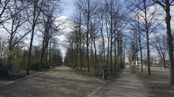 Tiergarten in Berlin surrounded by bare trees under a blue sky deserted without people during corona, Berlin
