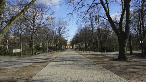 Long paved walking path between bare trees under a blue sky, deserted during corona, Berlin