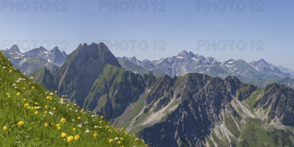 Mountain panorama with troll flowers (Trollius europaeus) from Laufbacher-Eckweg to Höfats, 2259m, Allgäu Alps, Allgäu, Bavaria, Germany
