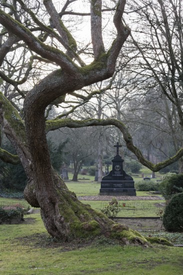 Gartendenkmal Düsseldorfer Nordfriedhof, park-like complex, Düsseldorf, North Rhine-Westphalia, Germany
