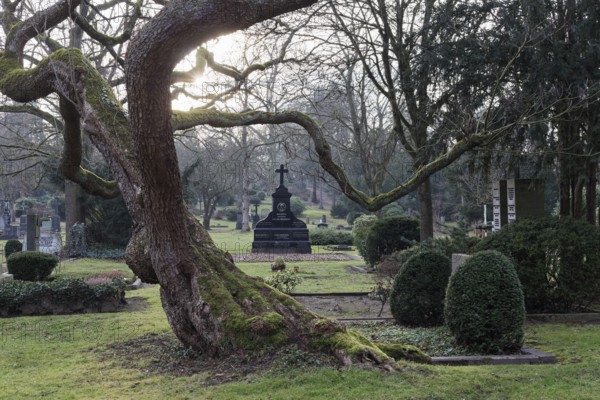Gartendenkmal Düsseldorfer Nordfriedhof, park-like complex, Düsseldorf, North Rhine-Westphalia, Germany