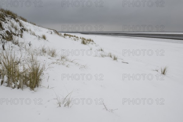 Snow-covered dunes on the North Sea, Langeoog, Lower Saxony, Germany