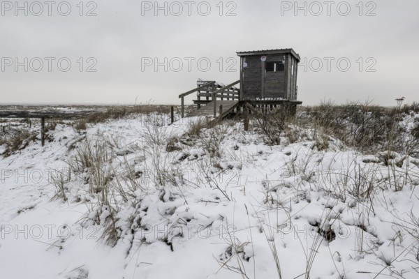 Dune landscape with bird watching station in snow, Langeoog, Lower Saxony, Germany
