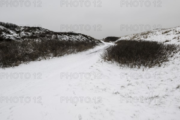 Dune landscape in snow, Langeoog, Lower Saxony, Germany