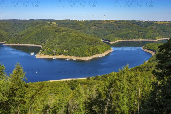 Heimbach, North Rhine-Westphalia, Germany — Eifel National Park. Hirschley view of the Eifel. Viewpoint with a view of the Rursee, the Schwammenauel Rurtalsperre. Barrier-free nature experience area Wilder Kermeter