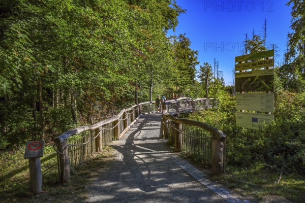 Schleiden, North Rhine-Westphalia, Germany — Eifel National Park. Barrier-free Wilder Kermeter nature experience area. Nature discovery trail The Wild Way: Ten mostly interactive stations there provide information about wilderness, forest development and biological diversity in the Eifel National Park, among other things. A wooden walkway through the forest wilderness provides special insights into nature