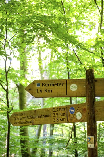 Schleiden, North Rhine-Westphalia, Germany — Eifel National Park. Information sign, Heimbach, Schwammenauel, Mariawald Abbey, Kermeter. Barrier-free nature experience area Wilder Kermeter