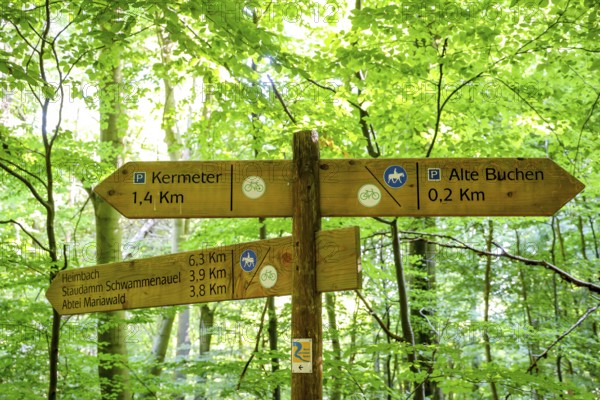 Schleiden, North Rhine-Westphalia, Germany — Eifel National Park. Information sign, Heimbach, Schwammenauel, Mariawald Abbey, Kermeter, Old Beeches. Barrier-free nature experience area Wilder Kermeter